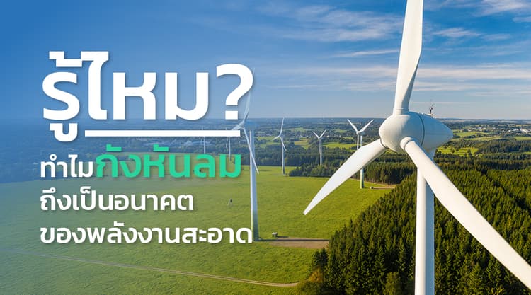รู้ไหม? ทำไมกังหันลมถึงเป็นอนาคตของพลังงานสะอาด